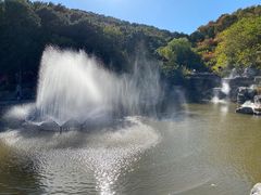 -北京西山国家森林公园