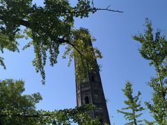 -上海佘山国家森林公园天马山园