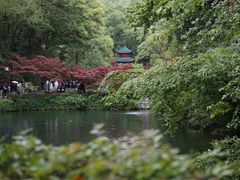 -岳麓山风景名胜区