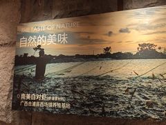 -巴奴毛肚火锅(龙湖锦艺城店)