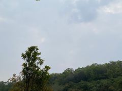 -番禺大夫山森林公园