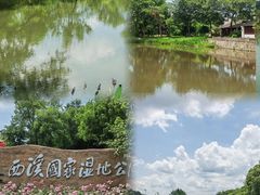 -西溪国家湿地公园