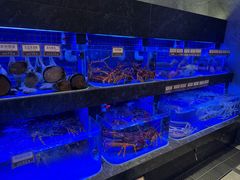 -協成海鮮火鍋(老店)