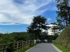 -阳台山森林公园