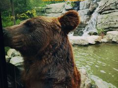 -北京野生动物园