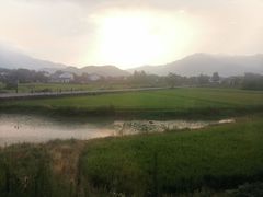-黄牛肉馆·皖南土菜