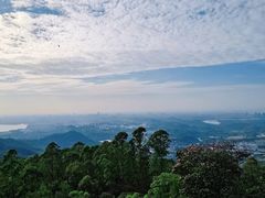 -水濂山森林公园