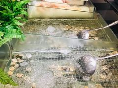 -大山炭火烤肉自助(百盛步行街广场店)