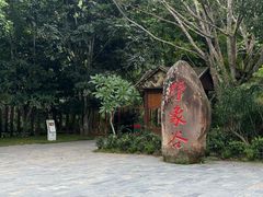 -野象谷景区