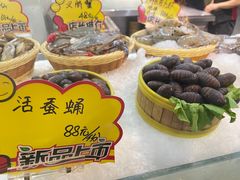 -渔娘渔家丹东海鲜(东直门店)