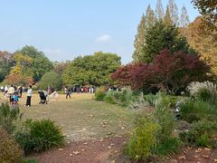 -中山公园