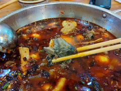 -黑竹香鸡(营和巷店)