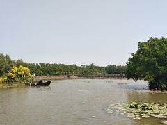 -大湾区中央湿地公园