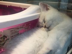 -乐宠宠物店(世纪金源店)