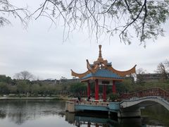-金砂公园