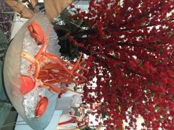 iphone_upload_pic-阳光五洲大酒店·宴会厅