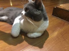 -董小姐咖妃·咖啡·简餐.意面(松江大学城店)
