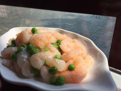 清炒虾仁-绿荫坊餐厅(共青森林公园店)