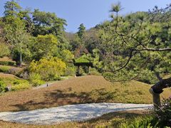 -云溪植物园