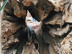 -南通洲际绿博园