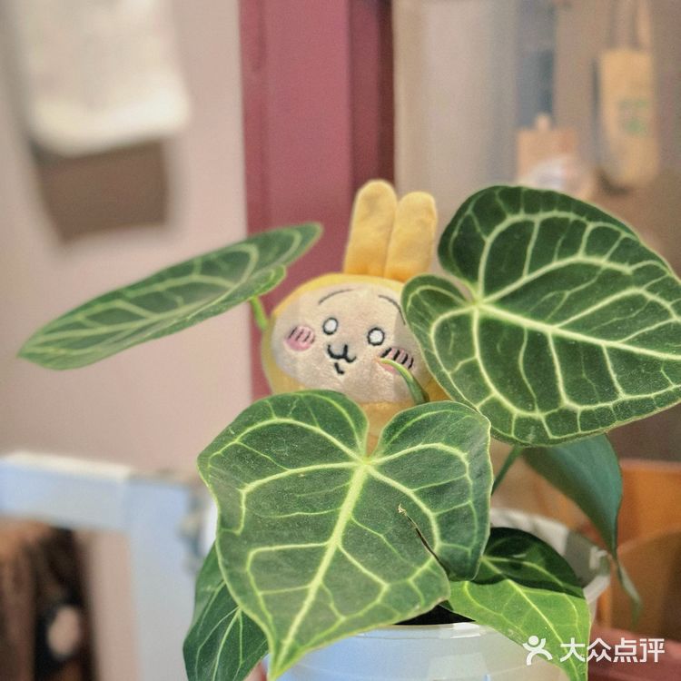 好喜欢！这家店到处都是CHIIKAWA