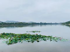 -羊山湖公园