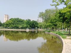 -泰丰公园