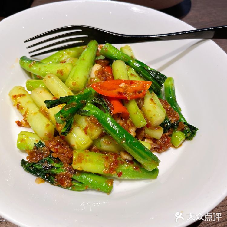 星叶—宁波泰料的YYDS