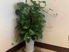 -四季轩中餐厅(徐州开元名都大酒店)