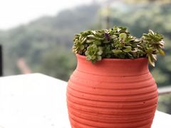 -远山有窑
