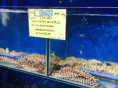 -蚝专家(北滘店)