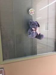 -杭州贝瑞斯美华妇儿医院·早孕·产检·儿科