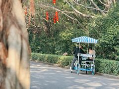 -大湾区中央湿地公园