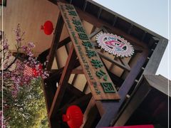 -上海海湾国家森林公园