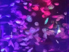 -台州海洋世界