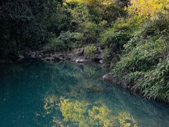 -广州白江湖森林公园