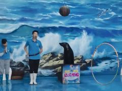 -左海海底世界