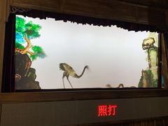 -乌镇东栅景区-应家桥皮影戏馆