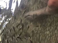 -明谷行馆·温泉