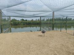-盐城丹顶鹤湿地生态旅游区