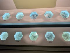 -中国茶叶博物馆(双峰馆区)