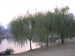 -中国浦东干部学院