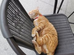 -满記土窑烧鷄波浪山莊