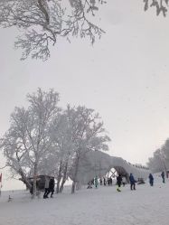 -大秃顶子山