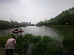 -新江湾城公园