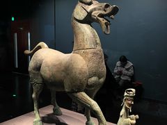 -广西壮族自治区博物馆