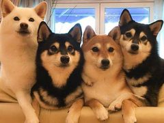 -瞳學會lens mart(南开大悦城店)