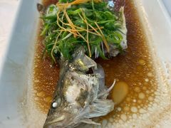 -正佳广场万豪酒店-粤菜餐厅·点心·海鲜·聚餐