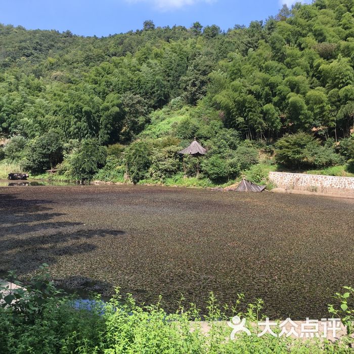 太湖生态泉图片