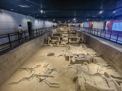 -洛阳周王城天子驾六博物馆